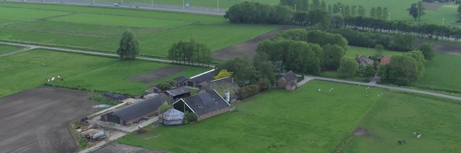 Privé Hondenpension "De Nieuwe Dalhoeve" In Gelderland, Omgeving Apeldoorn.